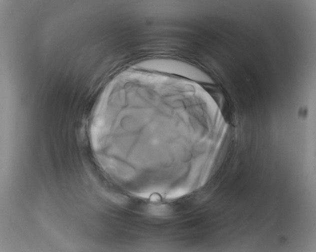 X0000113140169200910161204