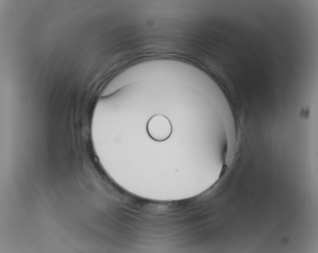 X0000113140170200910161205