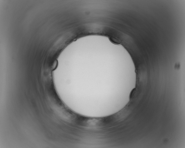 X0000113140172200910161205