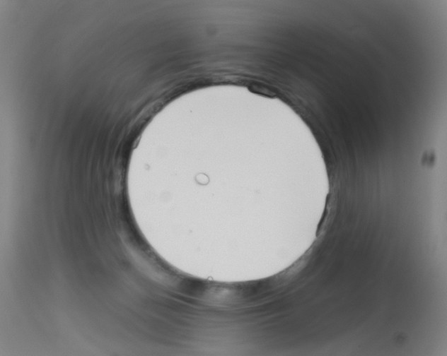 X0000113140174200910161205