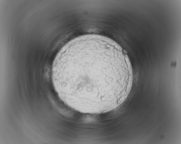 X0000113140175200910161205