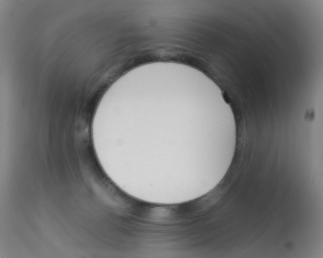 X0000113140176200910161205