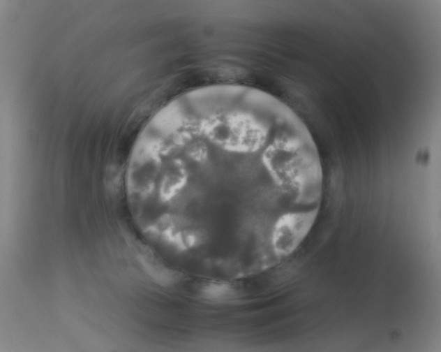 X0000113140177200910161205
