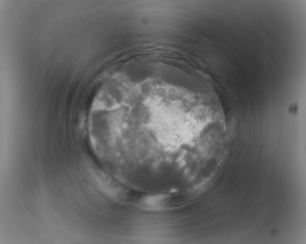 X0000113140178200910161205