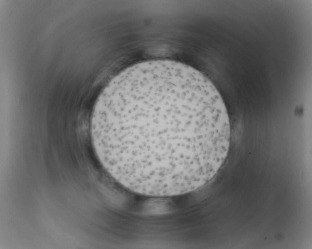 X0000113140179200910161205