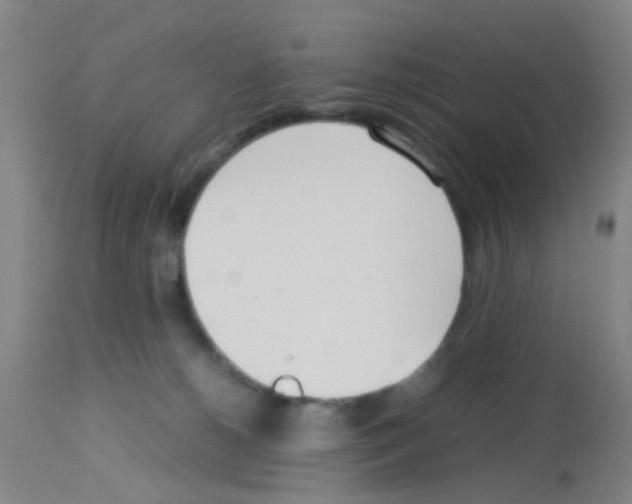 X0000113140180200910161205