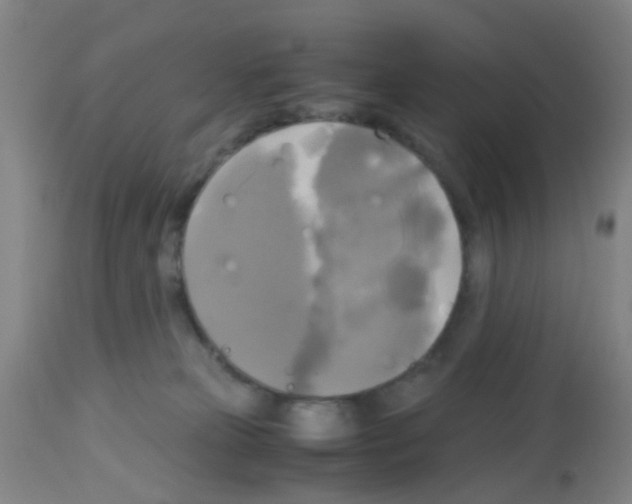 X0000113140181200910161205