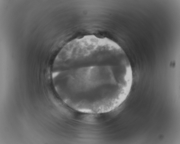 X0000113140182200910161205