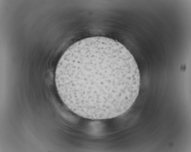 X0000113140183200910161205