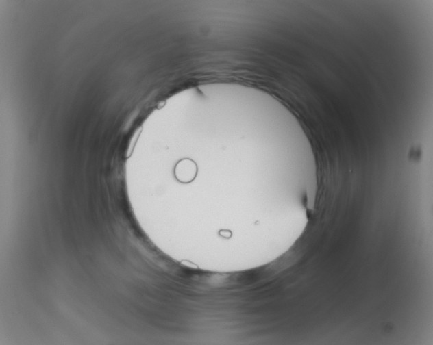 X0000113140184200910161205