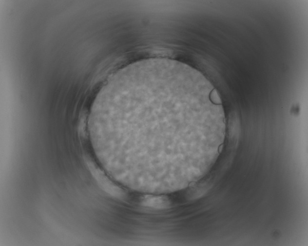 X0000113140185200910161205