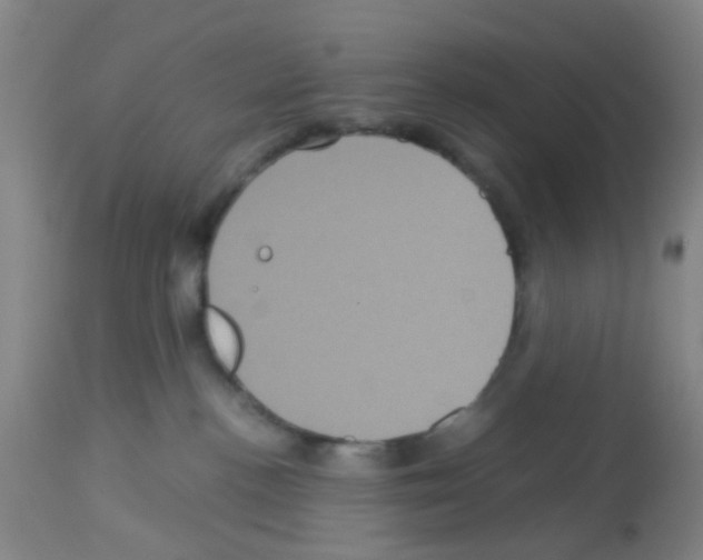 X0000113140188200910161205