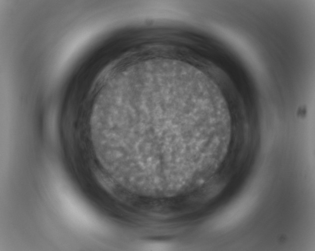 X0000113140189200910161205