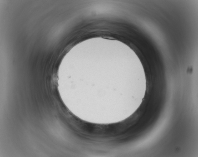 X0000113140190200910161205