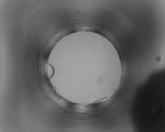 X0000113140191200910161205