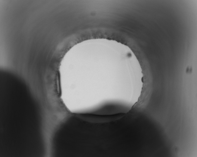 X0000113140192200910161205