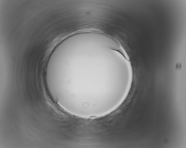 X0000113140193200910161204