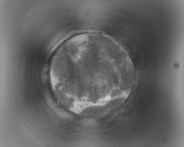 X0000113140194200910161204
