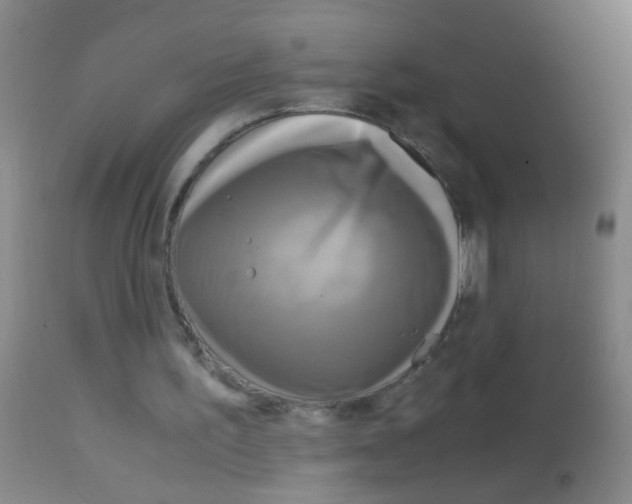 X0000113140195200910161204