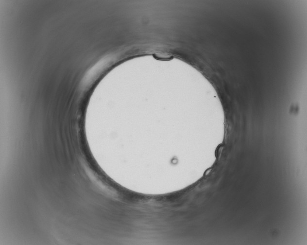 X0000113140197200910161204