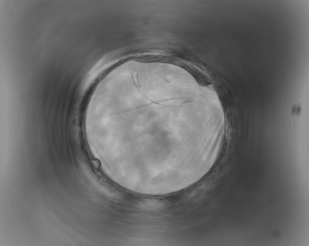X0000113140198200910161204