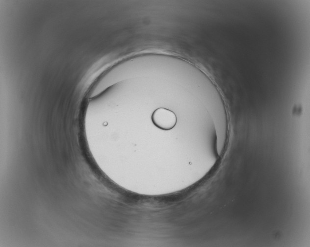 X0000113140199200910161204