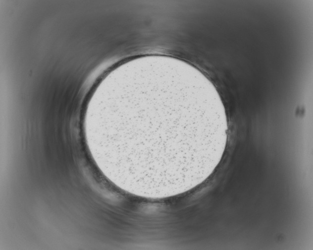 X0000113140200200910161204