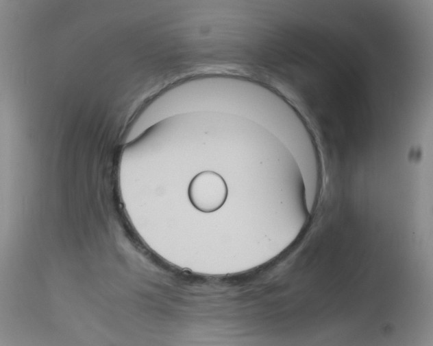 X0000113140201200910161204