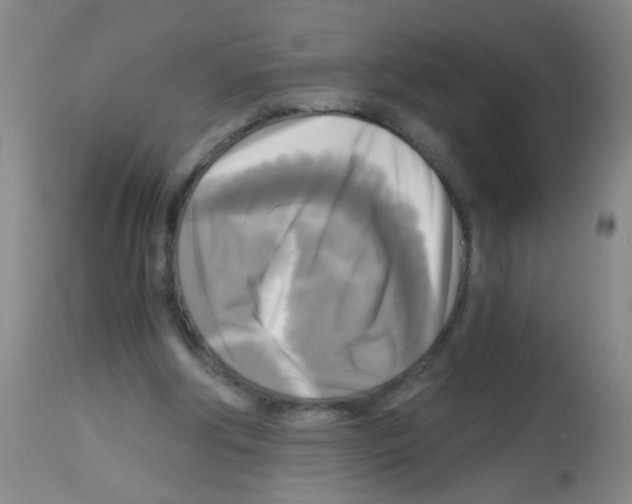 X0000113140202200910161204