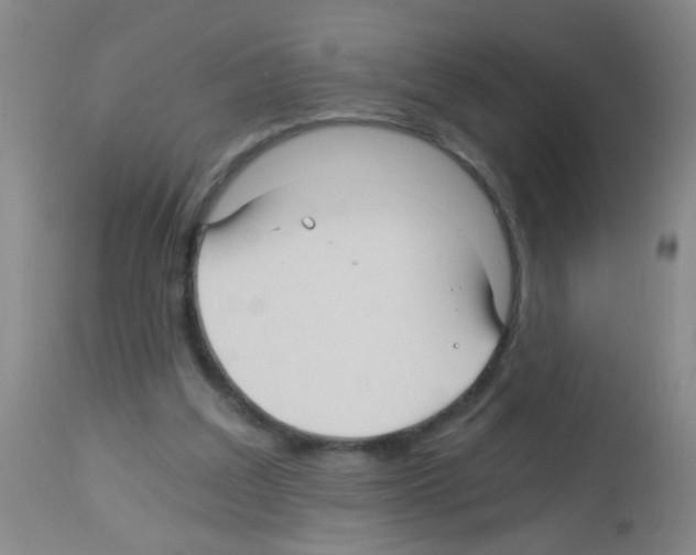 X0000113140203200910161204