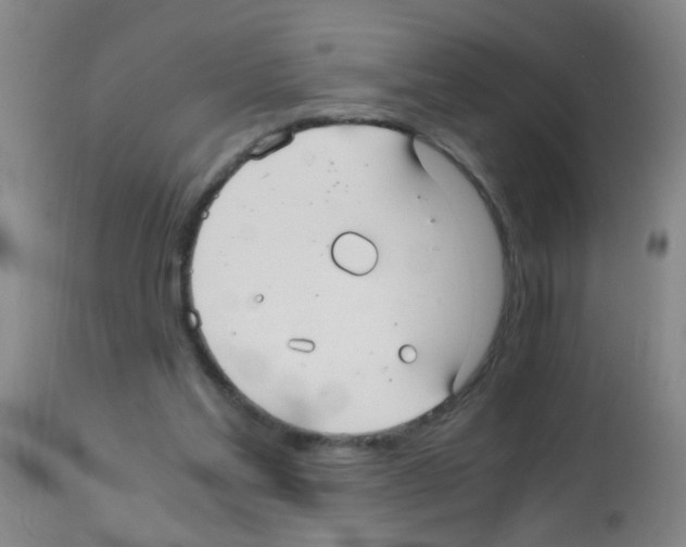 X0000113140205200910161204