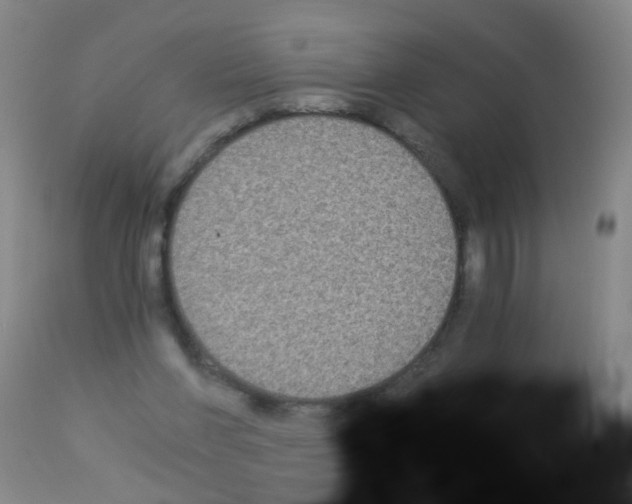 X0000113140206200910161204