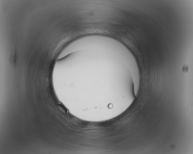 X0000113140207200910161204