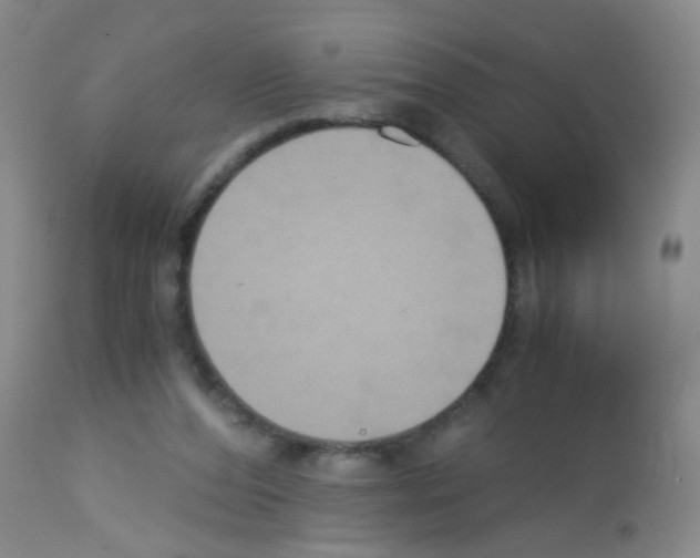 X0000113140208200910161204