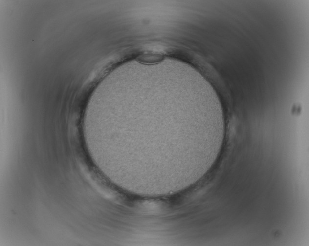 X0000113140209200910161204