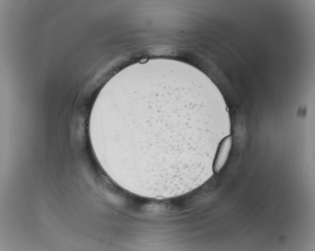 X0000113140211200910161204