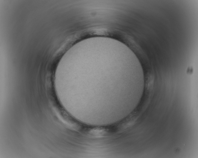 X0000113140213200910161204