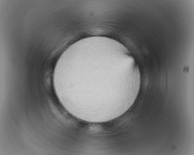 X0000113140214200910161204