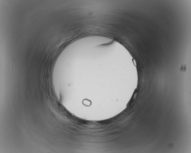 X0000113140215200910161204