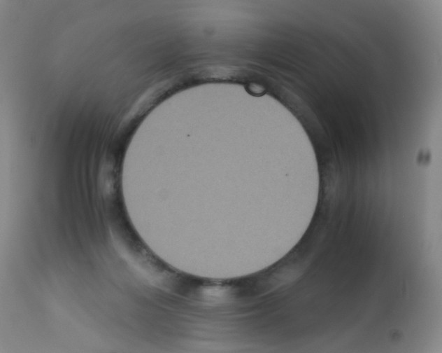X0000113140216200910161204