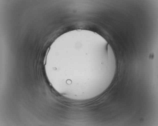 X0000113140217200910161204