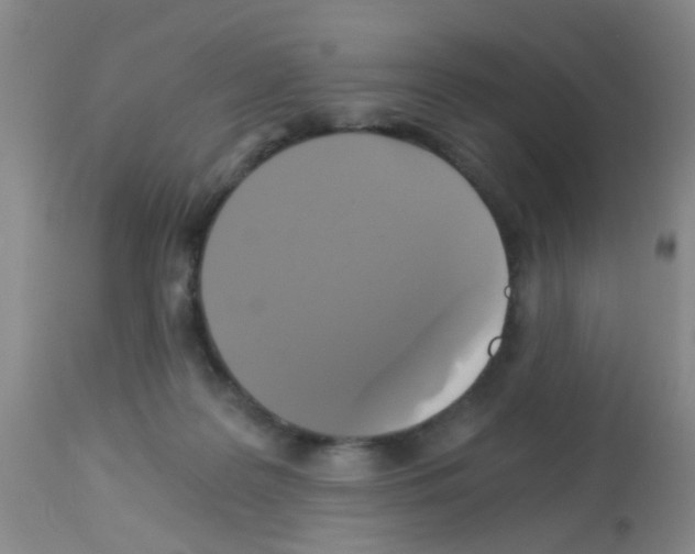 X0000113140219200910161204