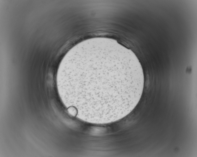 X0000113140220200910161204