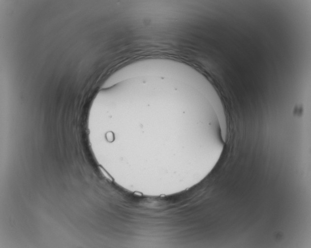 X0000113140221200910161204