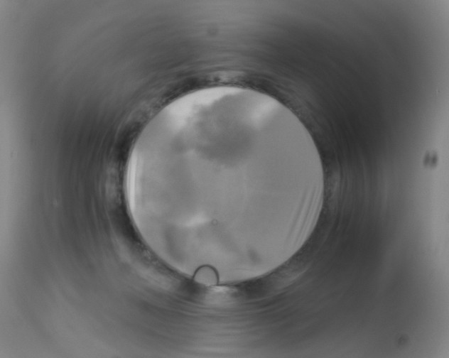 X0000113140222200910161204