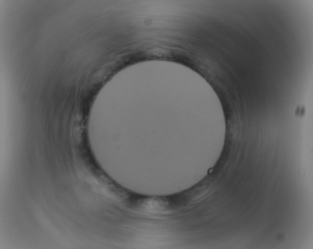 X0000113140223200910161204