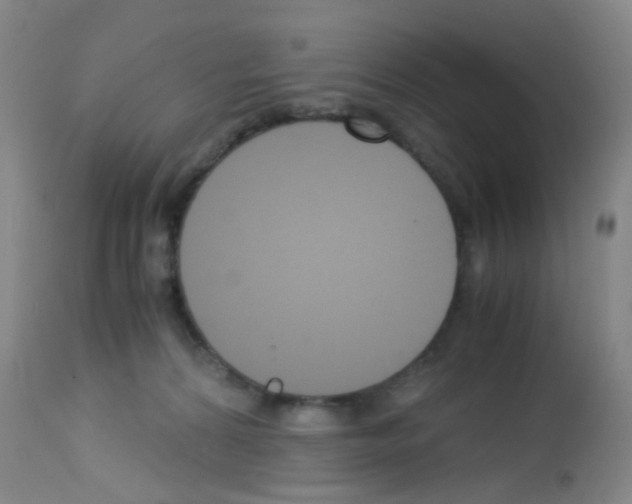 X0000113140224200910161204