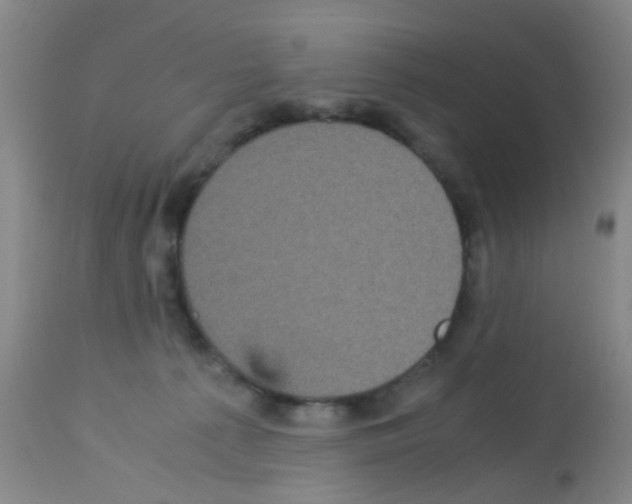 X0000113140225200910161204