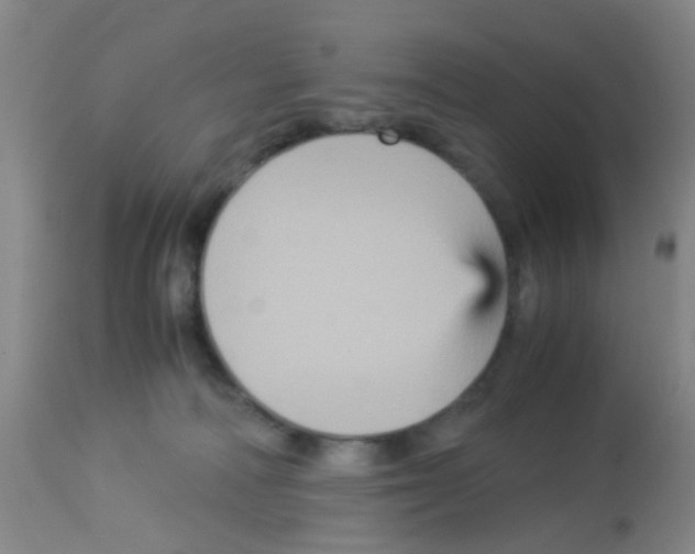 X0000113140226200910161204