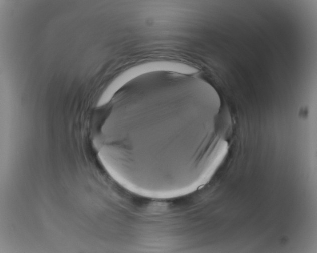 X0000113140227200910161204